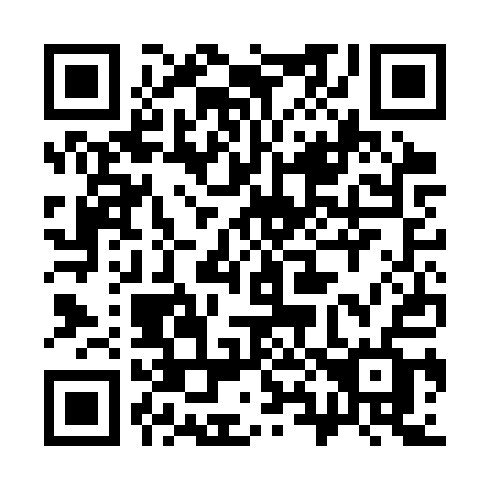 QR code for plate 383-CQF