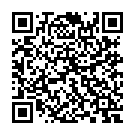 QR code for plate 383-HHH