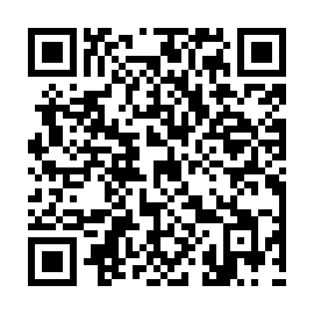 QR code for 383OMI