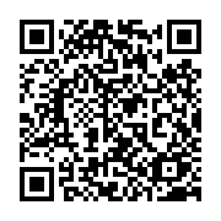 QR code for plate 383-TZU