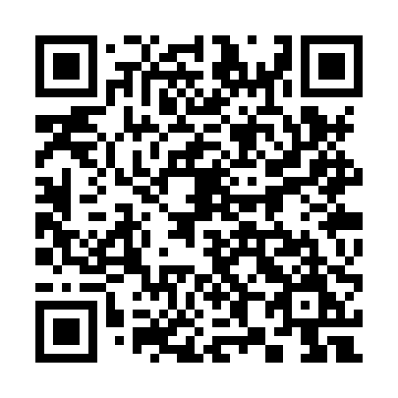 QR code for plate 383-XPM