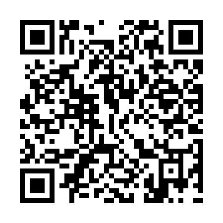 QR code for 384-BUO
