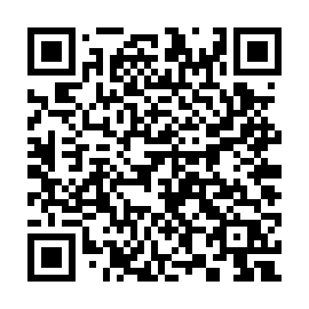 QR code for 384-PVP