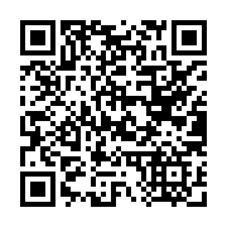 QR code for 384-XXG