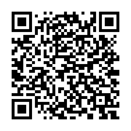 QR code for 384-ZUP