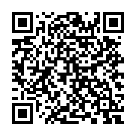 QR code for 384DSJ