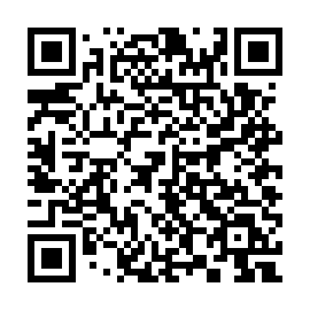 QR code for 384EUL