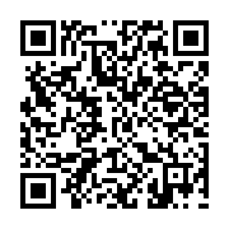 QR code for plate 384-FXV