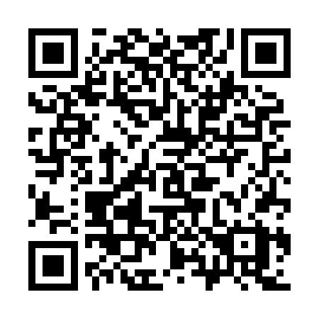 QR code for 384HFX