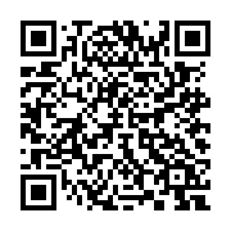 QR code for plate 384-OBV