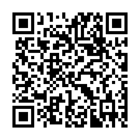 QR code for plate 384-QOC
