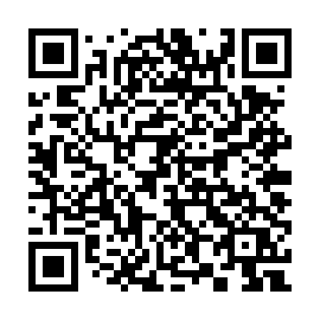 QR code for plate 384-TTQ