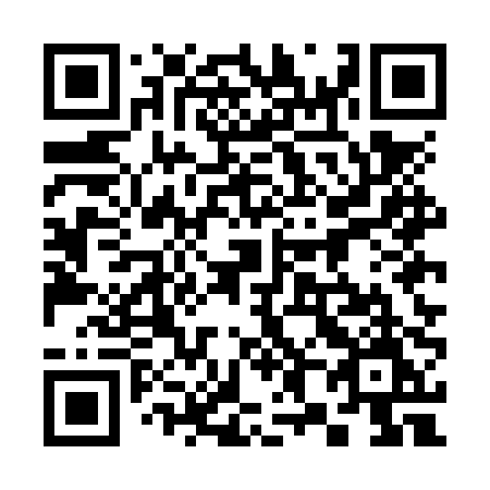 QR code for 385-NPM