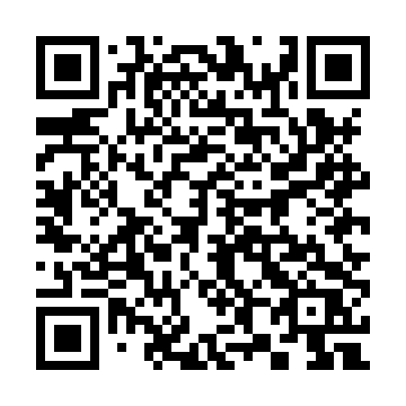 QR code for plate 385-HTR