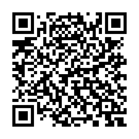 QR code for plate 385-NEC