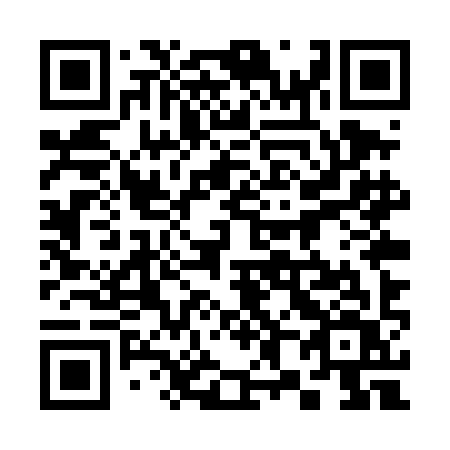 QR code for plate 385-TIV