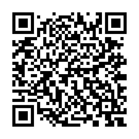 QR code for 385TIZ
