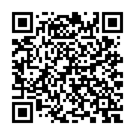 QR code for 386-FFI