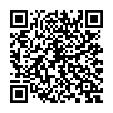 QR code for plate 386-NDA
