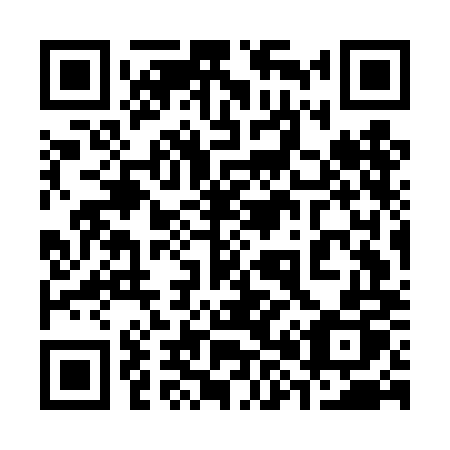 QR code for 387DMP