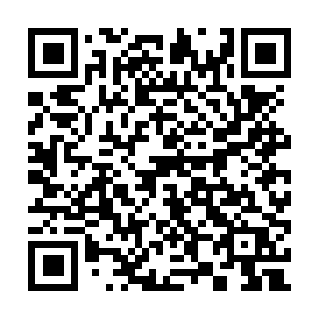 QR code for 387NPP