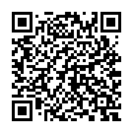 QR code for 387SXT