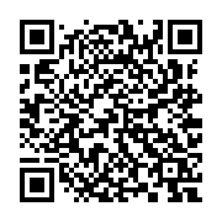 QR code for 387YJS