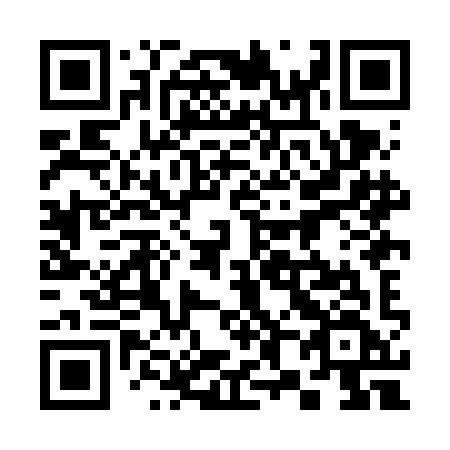 QR code for plate 388-FIF