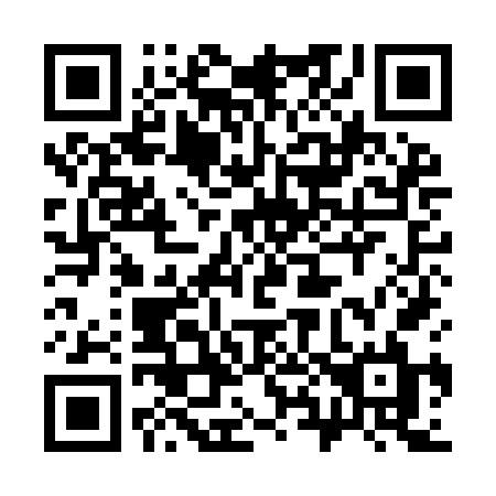 QR code for 389-IFL