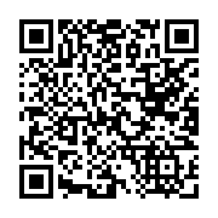 QR code for plate 389-HNW