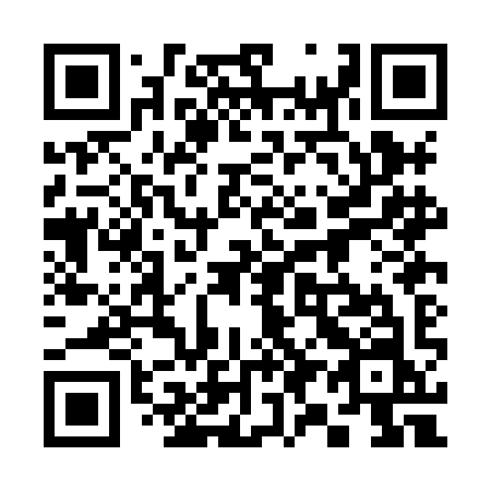 QR code for 390HIN