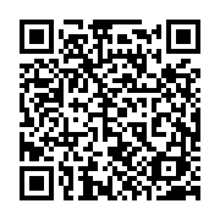 QR code for plate 390-MVI