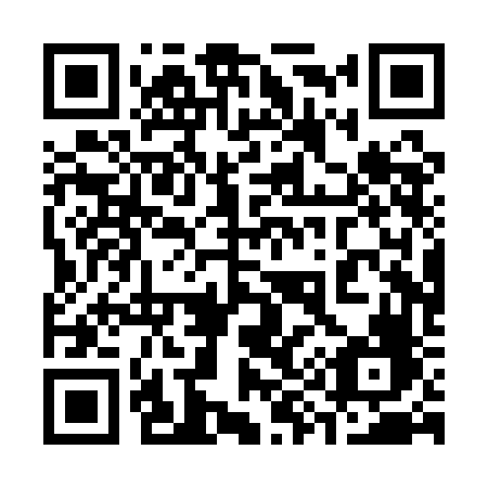 QR code for plate 390-QFF