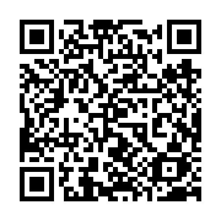 QR code for plate 390-VSJ