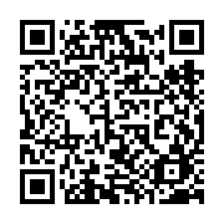QR code for plate 391-FAB