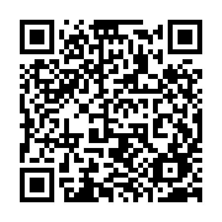 QR code for plate 391-HYD