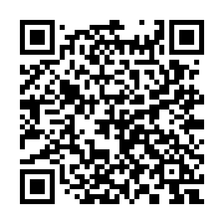 QR code for 391UDI