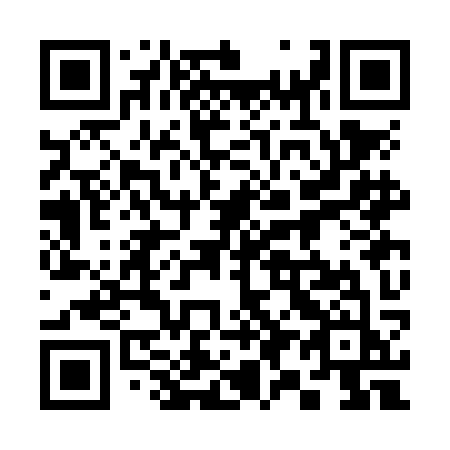 QR code for 393-NKJ