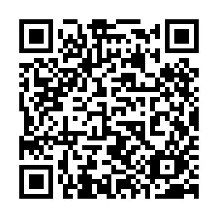 QR code for 393-PAO