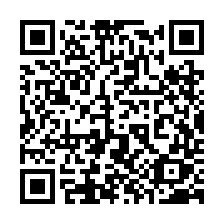 QR code for 393-SDX