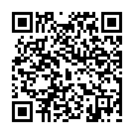 QR code for 393-SMU