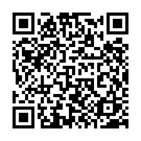 QR code for 393-UCS