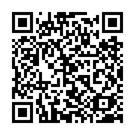 QR code for 393-WCI