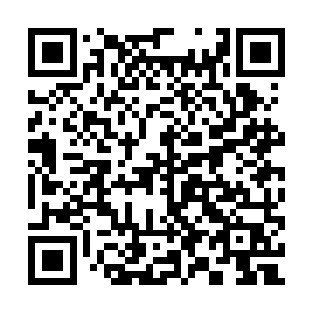 QR code for 393BMP