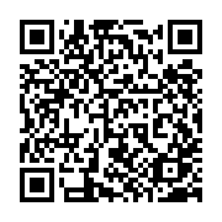 QR code for 393EHS