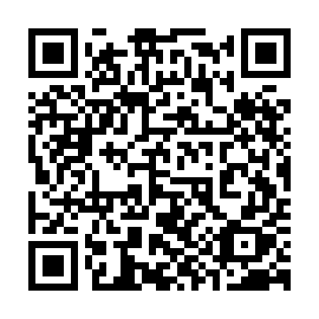 QR code for plate 393-HEX