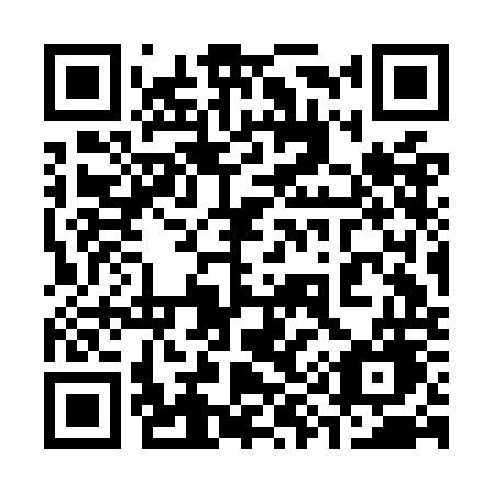 QR code for 393OOG