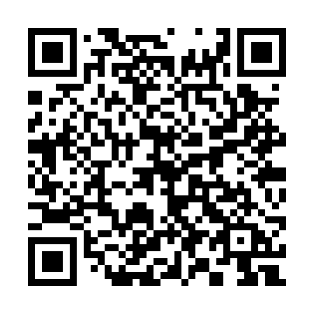 QR code for 393PRA