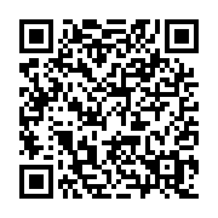 QR code for plate 393-QAM