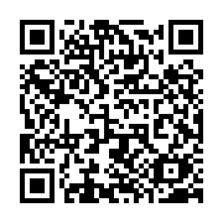 QR code for 394ASM
